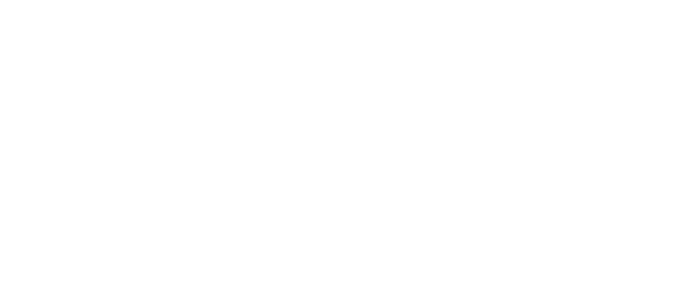 Robyn Crane